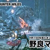 野良マルチ 〜 MHWilds #071