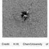 ザ・サンダーボルツ勝手連    ［A Magnetic Problem with “Protogalaxies” 「原始銀河」の磁気問題］