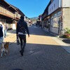 日本三大山城「岩村城跡」と岩村の城下町に行こう。