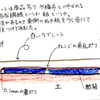 実験苗代・無加温露地プール苗代に苗箱を出す。世界史と日本史。