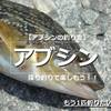 【アブシンの釣り方】堤防際の探り釣りで楽しもう！！