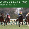 【 ハルの競馬予想 2/22.2020 】