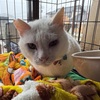 寒すぎだべっ！
