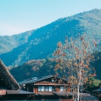 人気まとめサイト