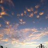 ”ヨコハマ”に蒸し暑い夏の夕暮れを感じる