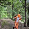 ポンバシのコスイベに行かないのも何か悔しかったので､近場の里山にコスプレしに行ったらワイだけだった件｡⛰️📷🦊【BeeCoss in あいな里山公園】