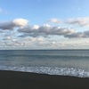 海までお散歩〜鳥のおじさん