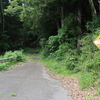 林道コサビ沢線・手小谷沢線・道ロク神線