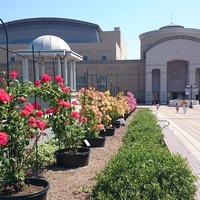 広響、京響による「オーケストラ福山定期」爆誕！！　④地方都市の衰退を救う「創造都市モデル」とは？