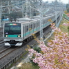 河津桜と鉄道写真