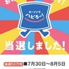 またまた市役所から書類が届いた