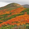 紅葉見頃の姥ヶ岳にて。これで青空だったらなぁ…。