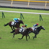 レース回顧　麦秋Ｓ・垂水Ｓ・大沼Ｓ・宝塚記念（6月23日　東京競馬場観戦レポ）