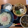 パパイヤとスブイ　さっぱり梅～つけそば
