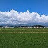 福島県大玉村で開催された第36回あだたら健康マラソンに参加してきました