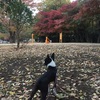 井の頭公園駅