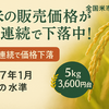 【2025年7月7日最新コメ価格】お米の販売価格が6週連続で下落中！5kgで3,600円台へ！！