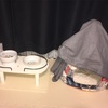 【先住猫と新入り猫】五ニャン娘みゃあ、ご飯を食べる場所を変えてみた 猫の行動範囲拡大と暖かい環境への配慮
