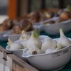 神戸）春日野道→岩屋→西灘→大石→新在家、阪神線路沿い。LUMIX GM1＋42.5mm/F1.7。アスペクト比3:2。