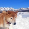 今年も半年が終わりました…