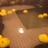 気軽に安く温泉を楽しみたいなら！鹿児島にきてみやんせ！