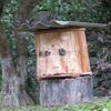 ミツバチの巣箱