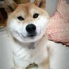 駅前の人通りも
