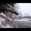 安曇野　【ワサビ田】雪景色