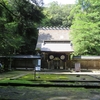 白石神社、若狭彦神社、若狭姫神社の椿～若狭小浜の探椿記その②