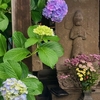 アジサイが飾る庚申塔　Koshin Tower decorated with hydrangeas 〈230609〉