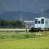 第2486列車　「　越美北線のキハ120形を狙う　」