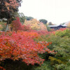 紅葉の東福寺を抜けて塔頭へ　龍吟庵