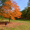 Beaver Brook Reservation