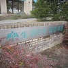 生活の木_薬香草園（埼玉県飯能市）