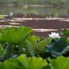 湖水ヶ池公園