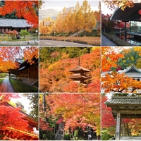 21 新名所も続々 エリア別 京都の紅葉穴場スポット34選 Kyoto Side 知られざる 京都 の魅力を発信