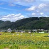 初夏のひまわりツーリング2021