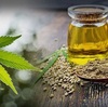 A Quick Guide to CBD Hemp Oil Tinctures