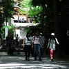 大神神社写真館(９/２２)