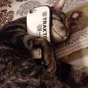 マスミセッションのリキッドファンクがとまらない