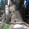 神奈川の力石11