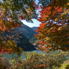 小春日和の名栗