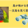 鳥が怖がる色はあるのか～文鳥を見て思うこと～