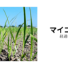 2025年06月13日　マイコス米　経過報告