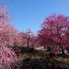 更に更に「鈴鹿の森庭園」