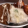 Ms.OOJAファン、カレー好き必見！！ Ms.OOJAが来店した、札幌市・北区の激うまカレー店「デタラメノカレートザンギ 」に行ってみた！！～名前とは違って、カレー、ザンギ共に、食べた後まで旨味が口に残る激ウマだった！！