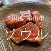 岡山県津山市　焼肉ソウル　肉とタレとキムチのコラボレーション＝死ぬほどうまい