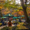 御嶽～沢井　紅葉の多摩川沿いを歩く－１８