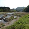  河川地形と植生