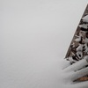 降り続いた雪　大雪警報　The snow that continued down